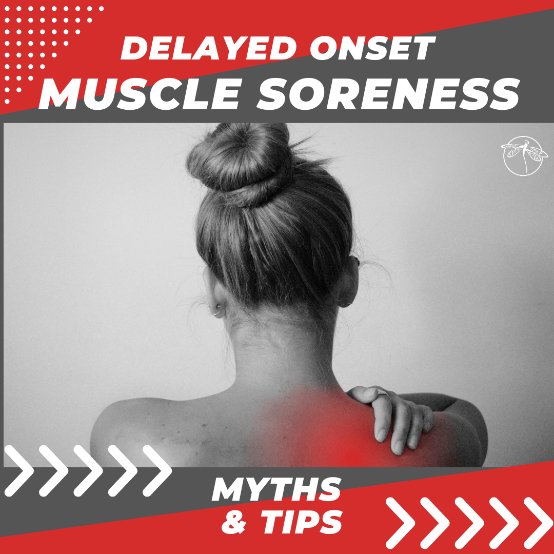 what-causes-muscle-soreness-after-exercise