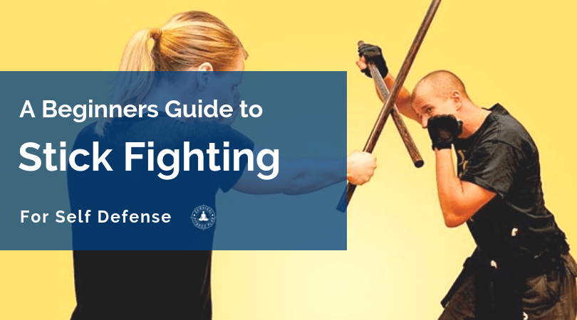 The 10 Best Stick Fighting Techniques on Apple Books