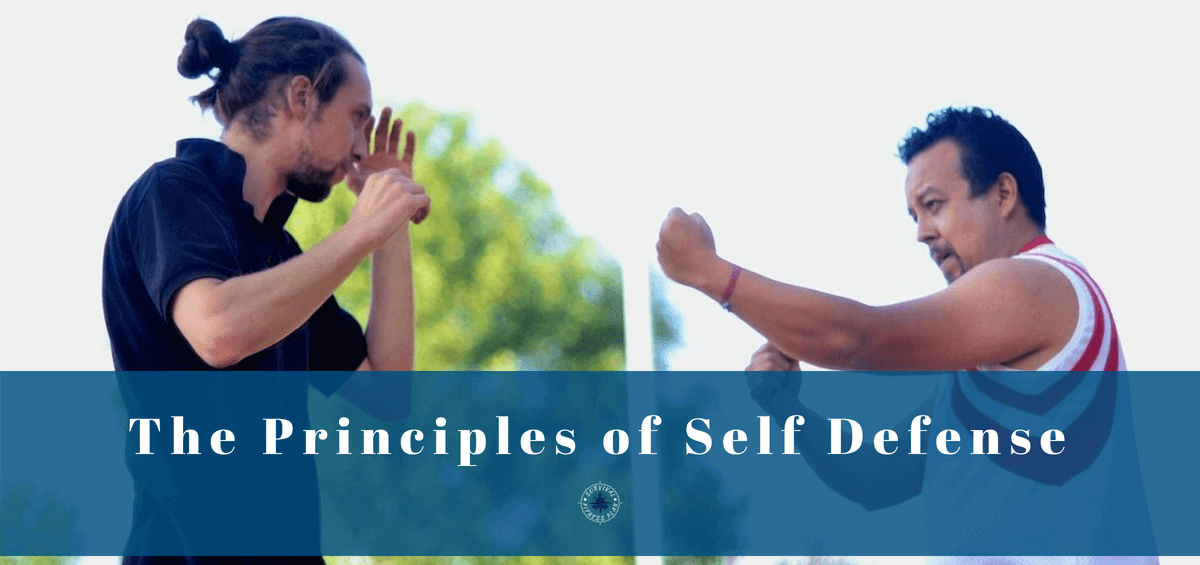 write an essay discussing the purpose of self defense