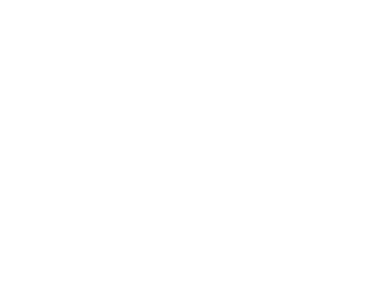 39 Técnicas