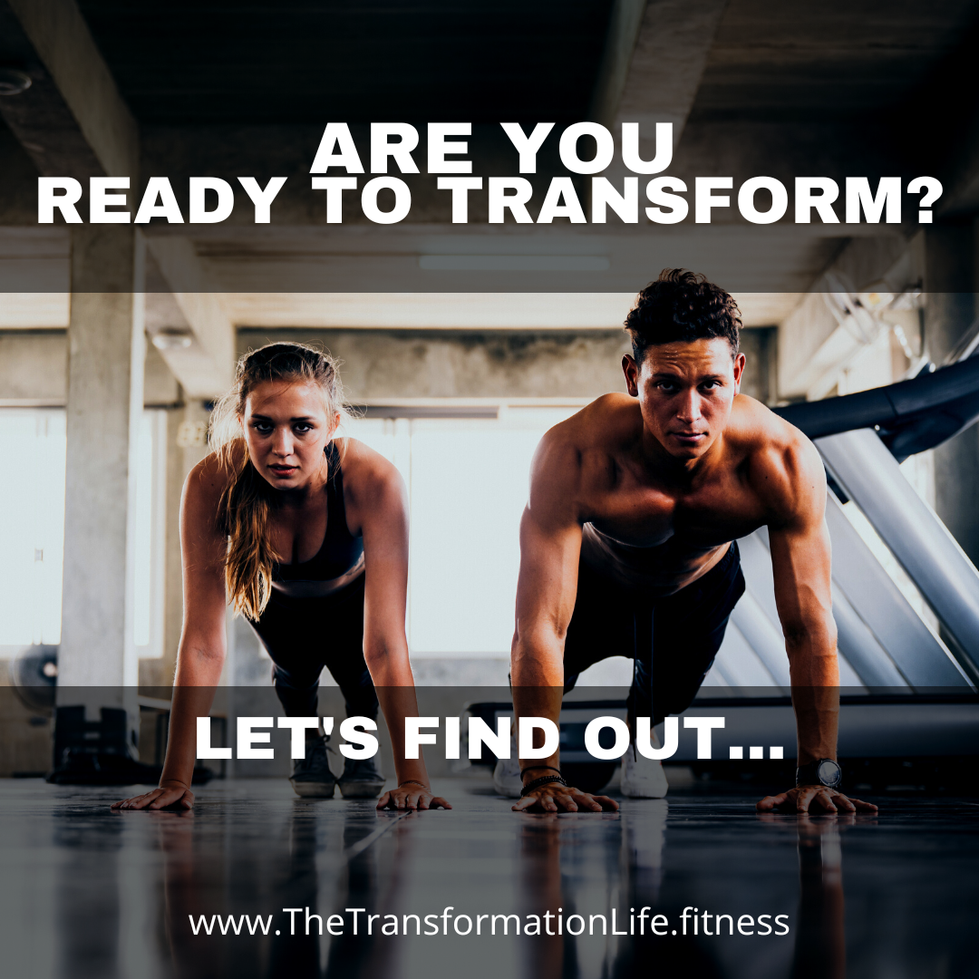 Transform Your Body The Proven Plan To A Narrower More Defined You - jlfnzuf