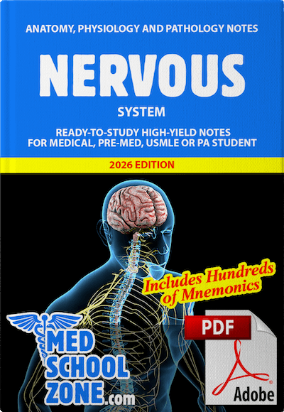 Nervous System