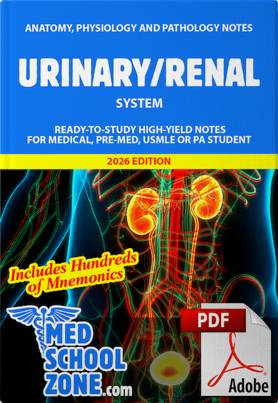 Urinary / Renal