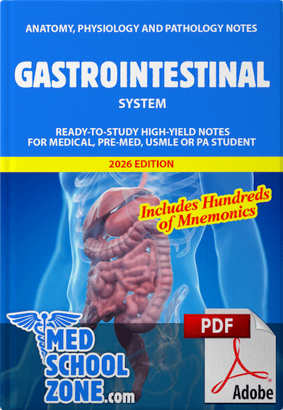 Gastrointestinal System