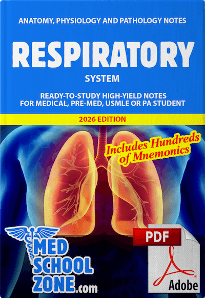 Respiratory System