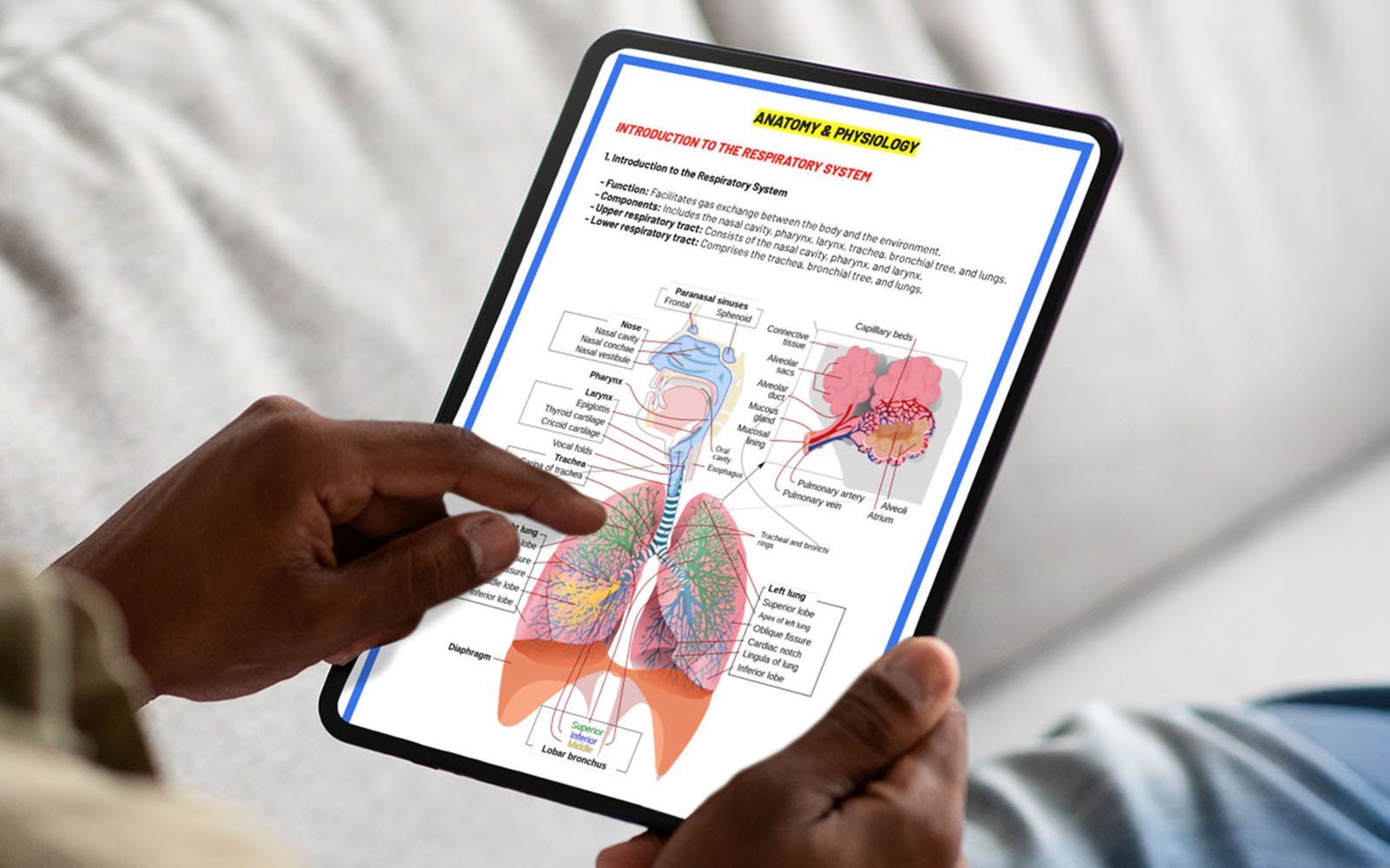 Studying on tablet