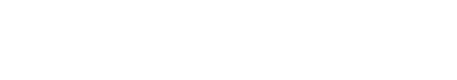 Shopify Partner