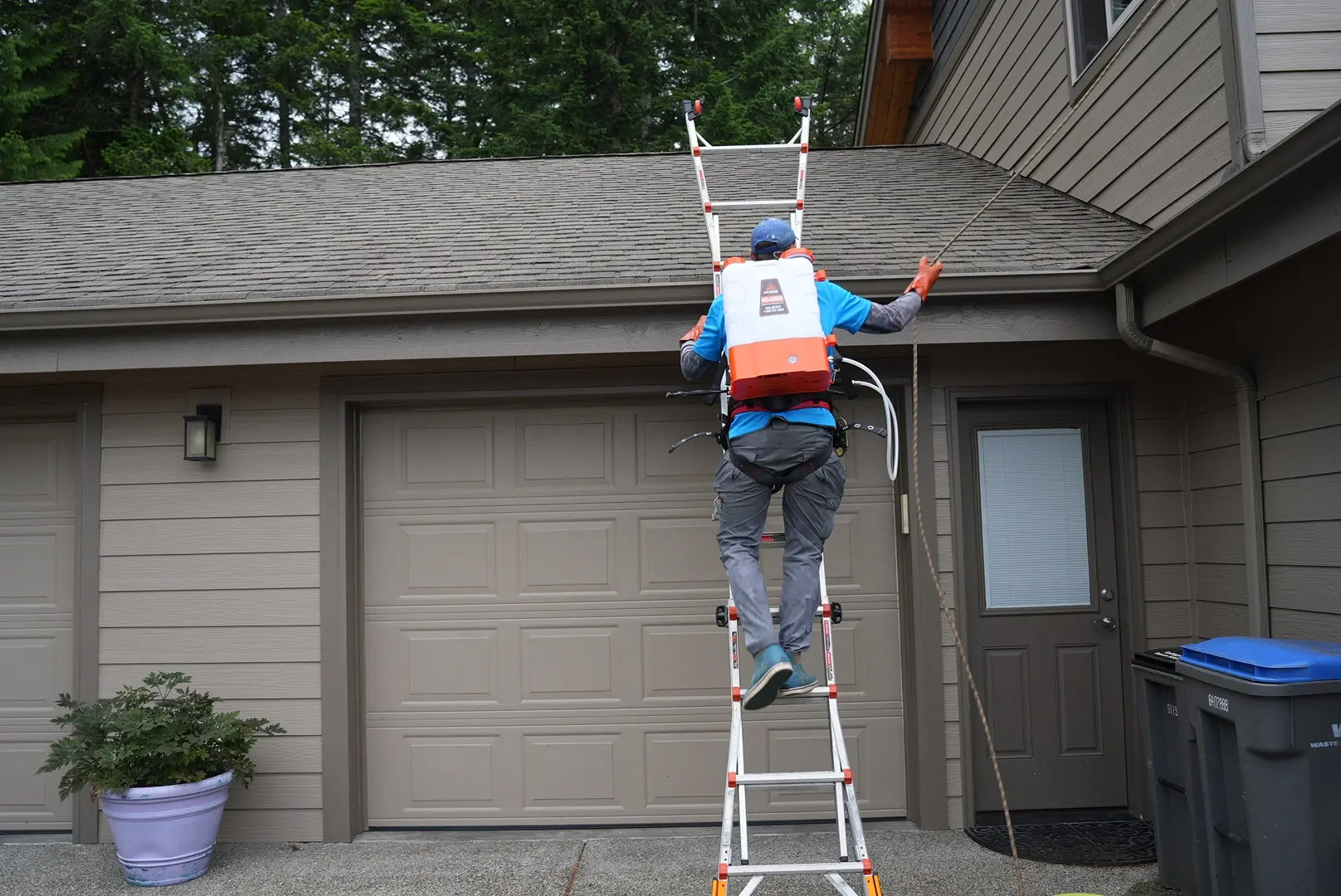 Roof-Cleaning-1