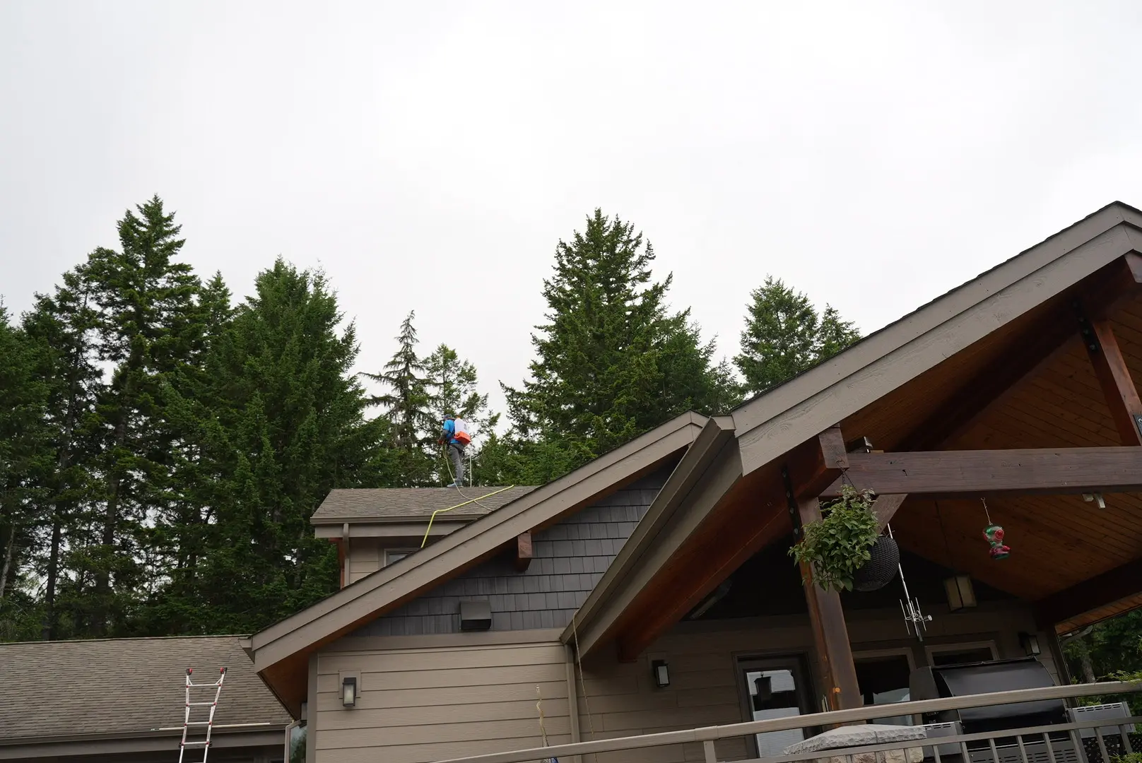 Roof-Cleaning-4
