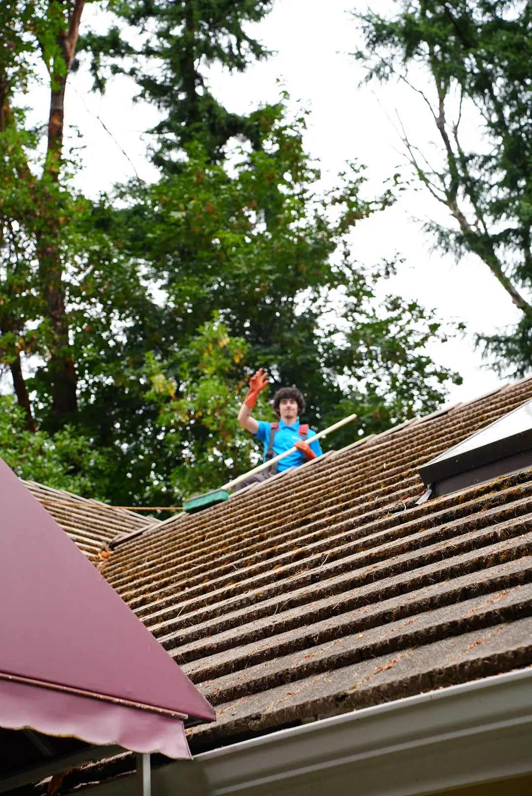 Roof-Cleaning-5