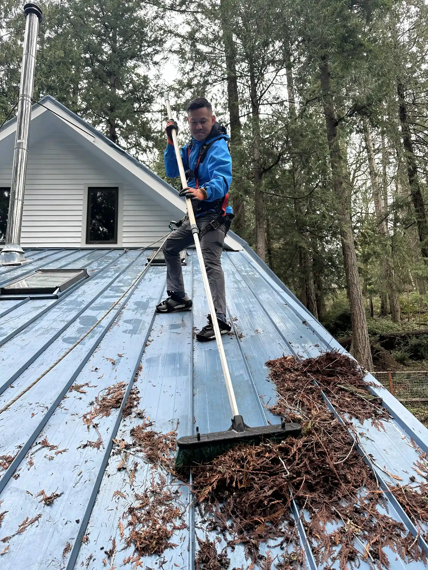 Roof-Cleaning-6
