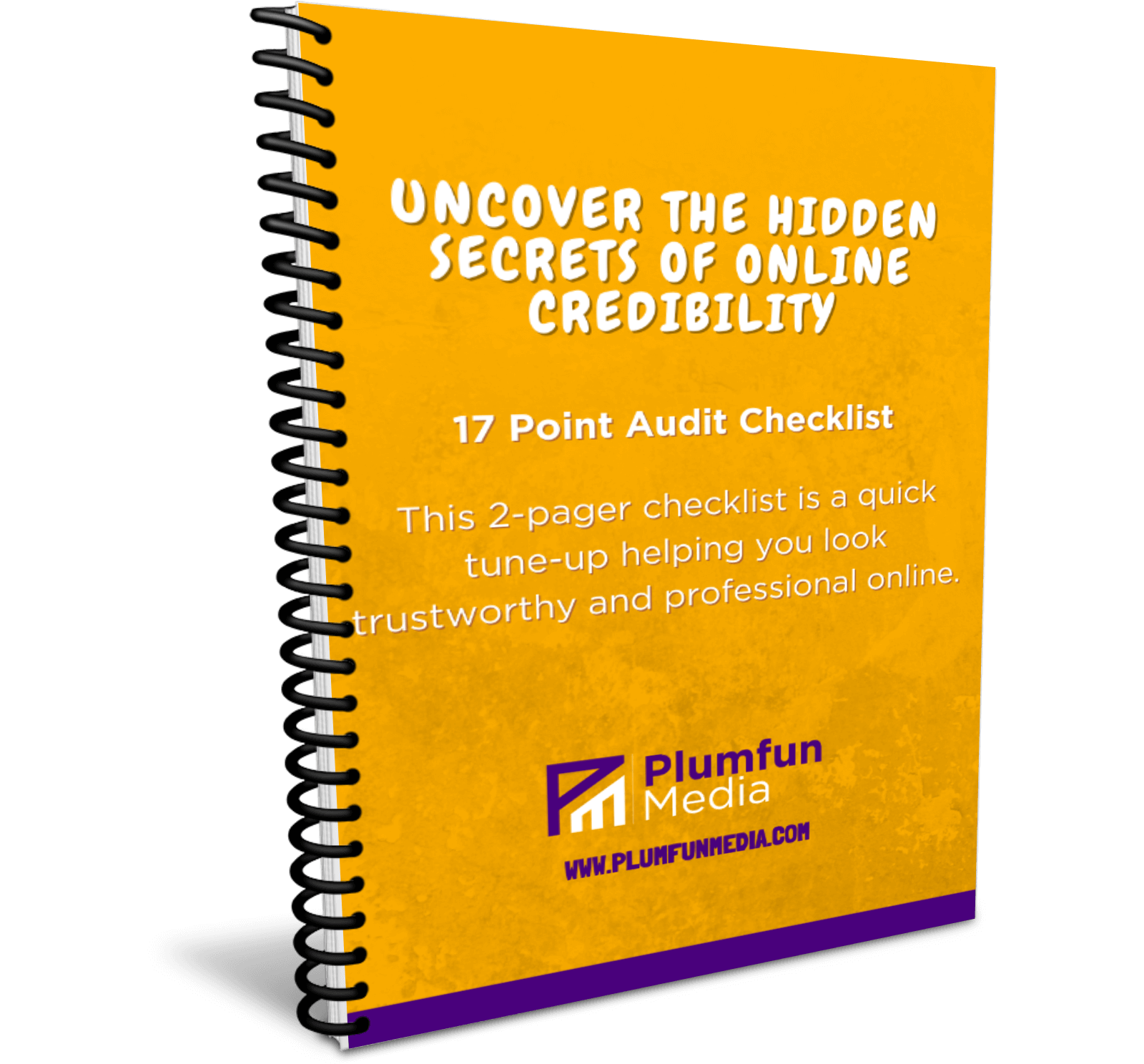 Pest control business owner reviewing online credibility audit checklist image