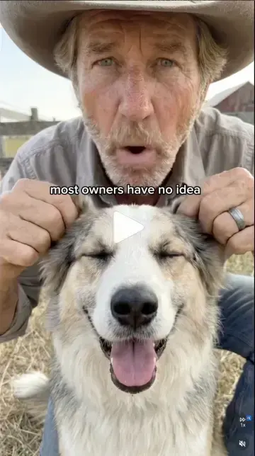 Farmer Paws reel: most owners have no idea