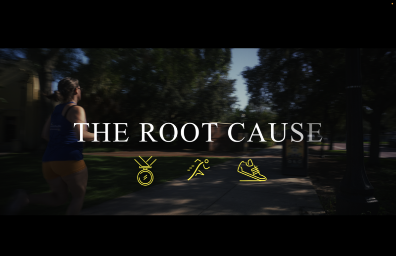 The Root Cause docuseries