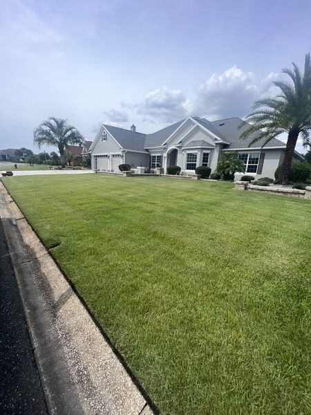 Maintained residential front lawn beside a curved curb, palm trees, and garden beds