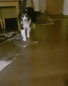 Joint Damage Increases with Time