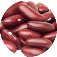 Magnesium