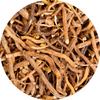 Valerian Root