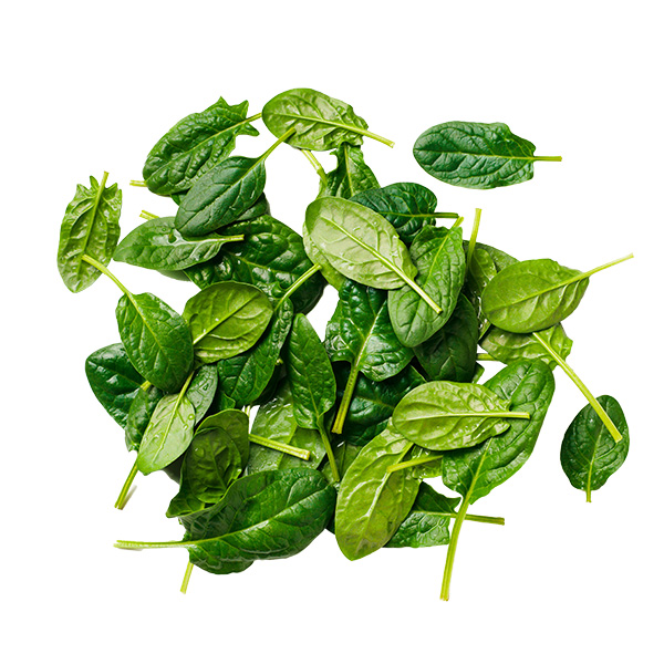 Magnesium