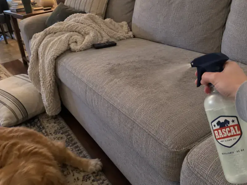 Spraying a pet bed on a couch