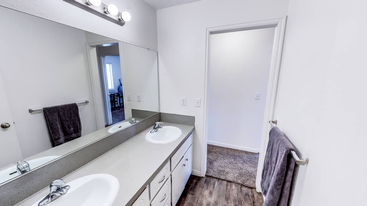 dual sinks