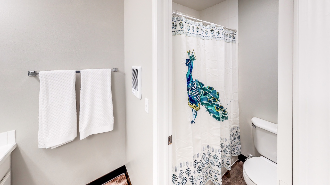 bathroom and shower