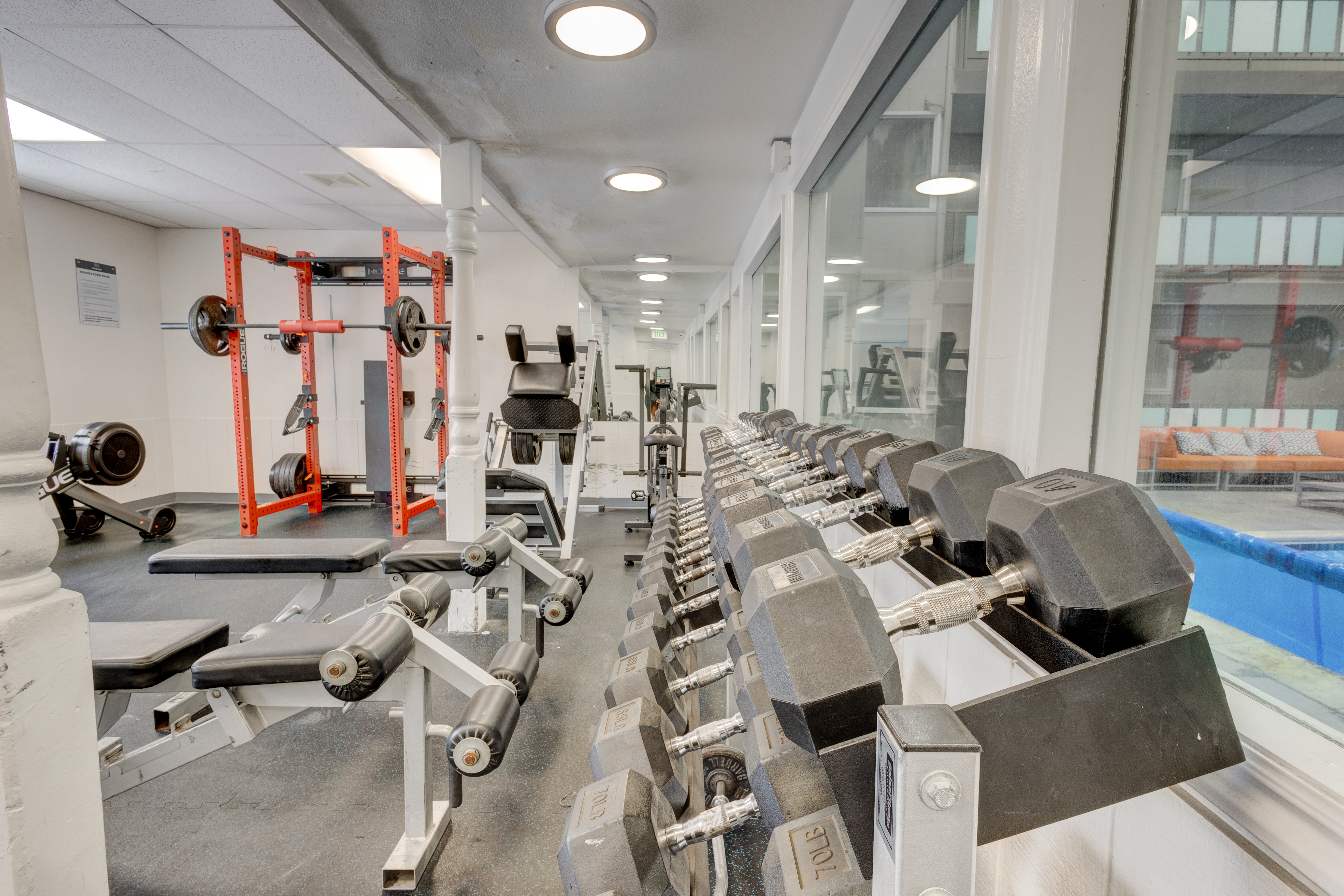Free Weights